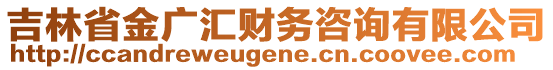 吉林省金廣匯財(cái)務(wù)咨詢有限公司