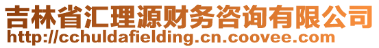 吉林省匯理源財務咨詢有限公司