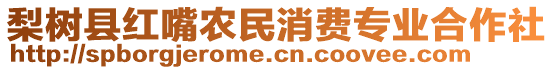 梨樹縣紅嘴農(nóng)民消費(fèi)專業(yè)合作社