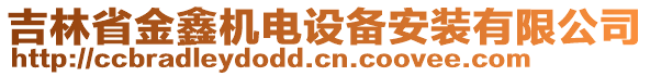 吉林省金鑫機電設備安裝有限公司