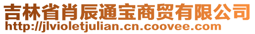 吉林省肖辰通宝商贸有限公司