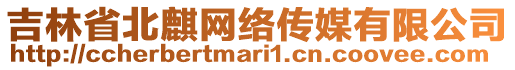吉林省北麒網絡傳媒有限公司