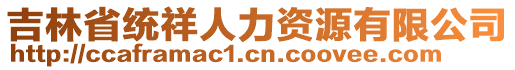 吉林省統(tǒng)祥人力資源有限公司