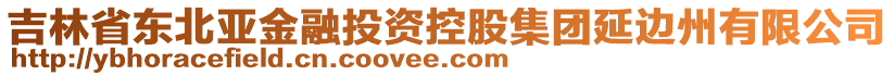 吉林省东北亚金融投资控股集团延边州有限公司