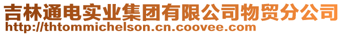 吉林通電實(shí)業(yè)集團(tuán)有限公司物貿(mào)分公司