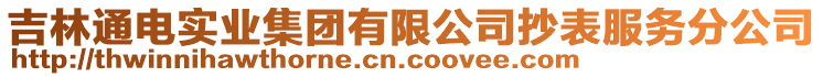 吉林通電實業(yè)集團有限公司抄表服務分公司