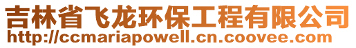 吉林省飛龍環(huán)保工程有限公司