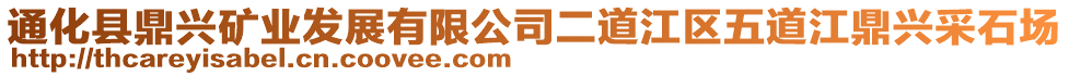 通化縣鼎興礦業(yè)發(fā)展有限公司二道江區(qū)五道江鼎興采石場