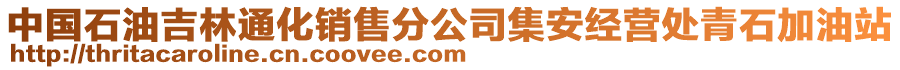 中国石油吉林通化销售分公司集安经营处青石加油站