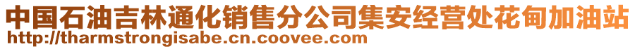 中國(guó)石油吉林通化銷售分公司集安經(jīng)營(yíng)處花甸加油站