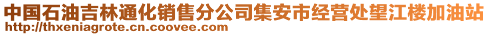 中国石油吉林通化销售分公司集安市经营处望江楼加油站