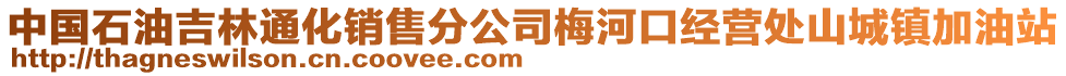 中国石油吉林通化销售分公司梅河口经营处山城镇加油站