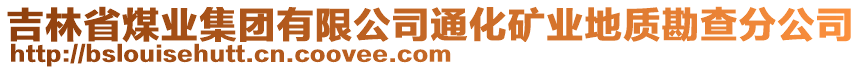 吉林省煤業(yè)集團(tuán)有限公司通化礦業(yè)地質(zhì)勘查分公司