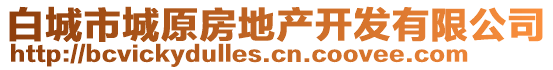 白城市城原房地产开发有限公司