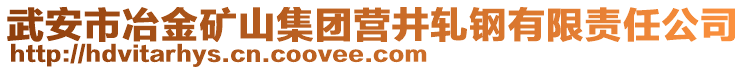 武安市冶金礦山集團(tuán)營(yíng)井軋鋼有限責(zé)任公司