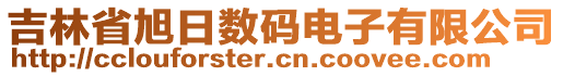 吉林省旭日數(shù)碼電子有限公司