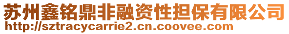 蘇州鑫銘鼎非融資性擔保有限公司