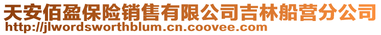 天安佰盈保險銷售有限公司吉林船營分公司