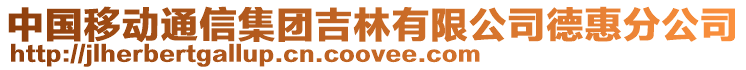 中國移動通信集團吉林有限公司德惠分公司