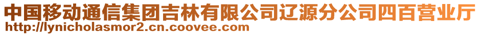 中国移动通信集团吉林有限公司辽源分公司四百营业厅