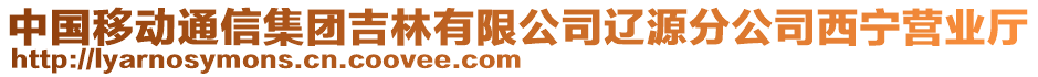 中國移動通信集團吉林有限公司遼源分公司西寧營業(yè)廳