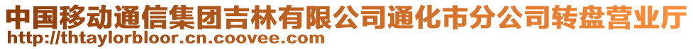 中國移動通信集團吉林有限公司通化市分公司轉盤營業廳