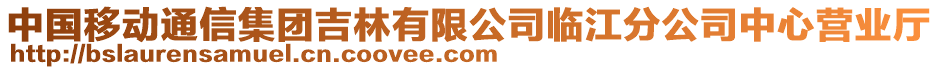 中國(guó)移動(dòng)通信集團(tuán)吉林有限公司臨江分公司中心營(yíng)業(yè)廳