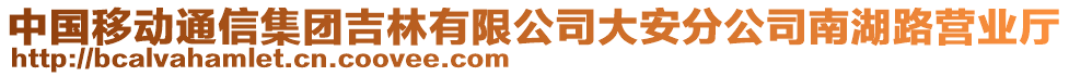 中國(guó)移動(dòng)通信集團(tuán)吉林有限公司大安分公司南湖路營(yíng)業(yè)廳