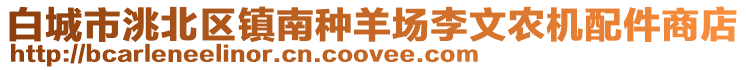 白城市洮北區(qū)鎮(zhèn)南種羊場李文農(nóng)機(jī)配件商店