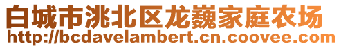 白城市洮北區龍巍家庭農場