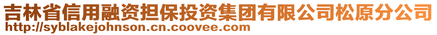 吉林省信用融资担保投资集团有限公司松原分公司