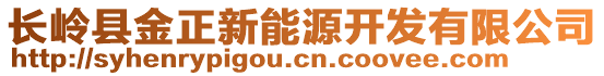 長嶺縣金正新能源開發(fā)有限公司