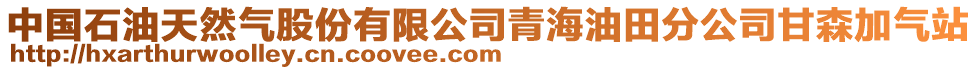 中國石油天然氣股份有限公司青海油田分公司甘森加氣站