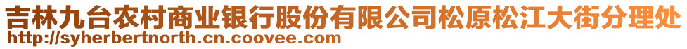 吉林九臺農(nóng)村商業(yè)銀行股份有限公司松原松江大街分理處