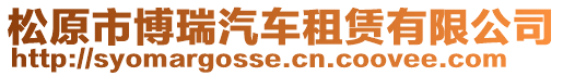 松原市博瑞汽車租賃有限公司