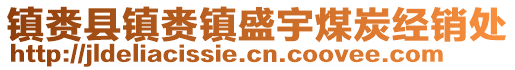 鎮(zhèn)賚縣鎮(zhèn)賚鎮(zhèn)盛宇煤炭經銷處