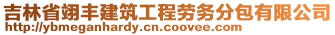 吉林省翊豐建筑工程勞務分包有限公司