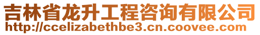 吉林省龍升工程咨詢有限公司