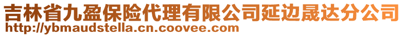 吉林省九盈保險(xiǎn)代理有限公司延邊晟達(dá)分公司