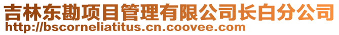 吉林東勘項目管理有限公司長白分公司