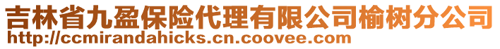 吉林省九盈保險代理有限公司榆樹分公司