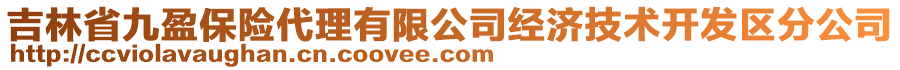 吉林省九盈保險(xiǎn)代理有限公司經(jīng)濟(jì)技術(shù)開發(fā)區(qū)分公司