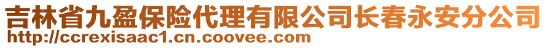 吉林省九盈保險代理有限公司長春永安分公司