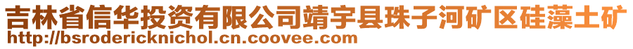 吉林省信華投資有限公司靖宇縣珠子河礦區(qū)硅藻土礦