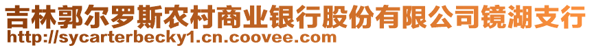 吉林郭爾羅斯農(nóng)村商業(yè)銀行股份有限公司鏡湖支行