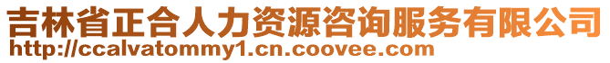 吉林省正合人力資源咨詢(xún)服務(wù)有限公司