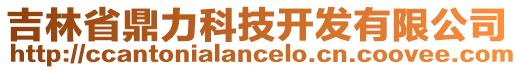 吉林省鼎力科技開發(fā)有限公司