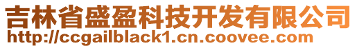 吉林省盛盈科技開發(fā)有限公司