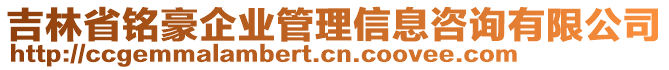 吉林省銘豪企業(yè)管理信息咨詢有限公司