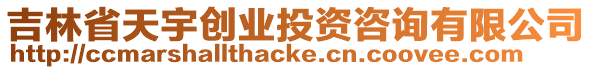 吉林省天宇創(chuàng)業(yè)投資咨詢(xún)有限公司